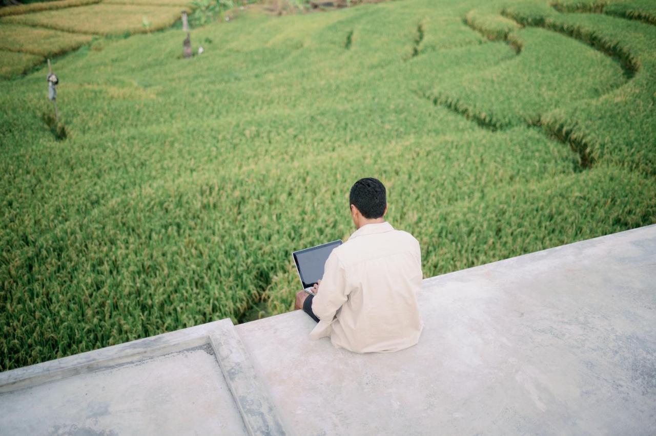 Musa Canggu (Bali)