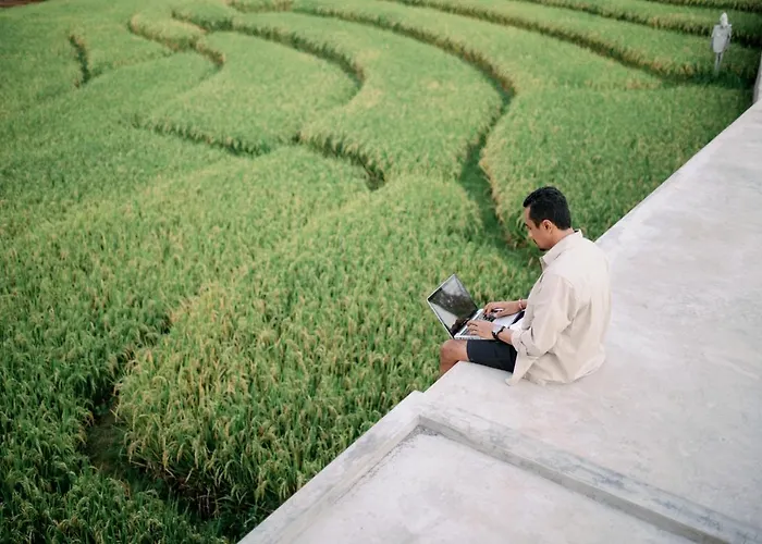 Musa Canggu
